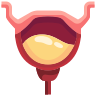 icons8-bladder