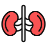 icons8-kidney