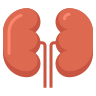 icons8-kidneys