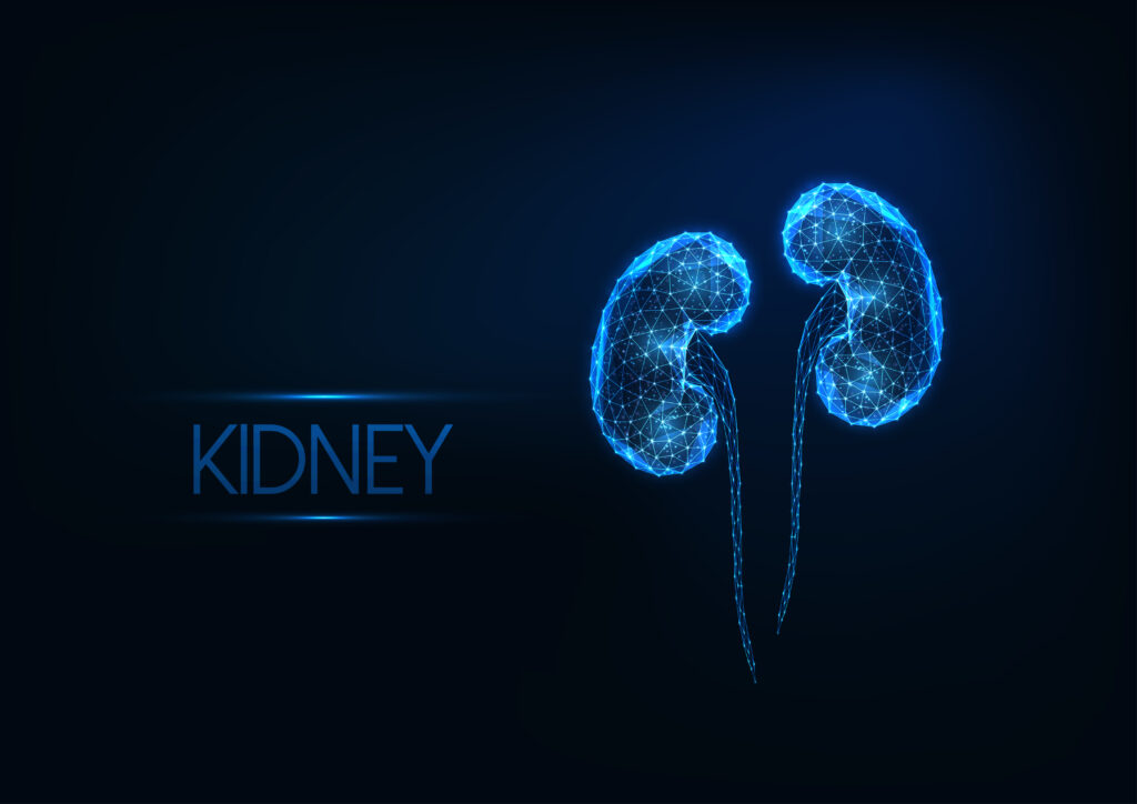 Advanced Kidney Transplant in Chennai